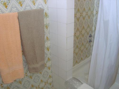 y baño con ducha y cortina de ducha. en Mira Fortaleza, en Sagres