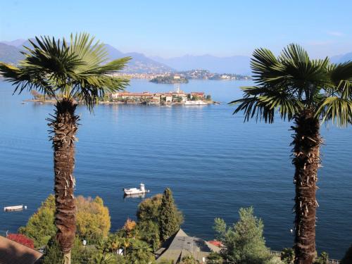 due palme sulla riva di un lago di Apartment Punta Borromea by Interhome a Stresa