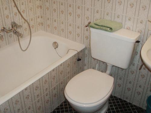 a bathroom with a white toilet and a bath tub at Holiday Home Noisette by Interhome in Chardonne