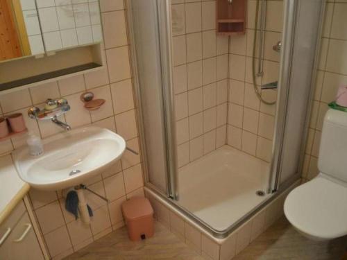 ein Bad mit einer Dusche, einem Waschbecken und einem WC in der Unterkunft Apartment Adlerhorst by Interhome in Adelboden