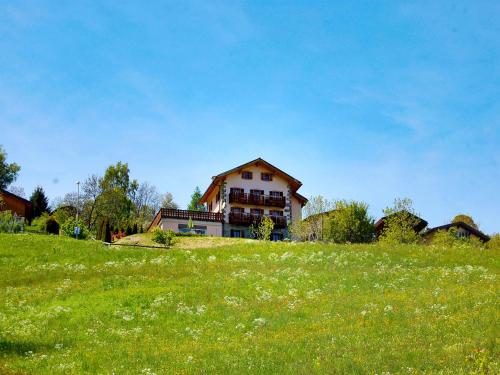 a house sitting on top of a green field at Holiday Home Le Dahu by Interhome in Nendaz