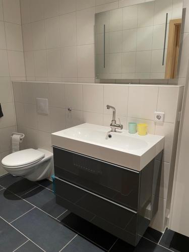 a bathroom with a sink and a toilet at Einraum Ferienwohnung im Zentrum in Aue