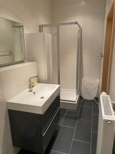 a bathroom with a sink and a shower at Einraum Ferienwohnung im Zentrum in Aue