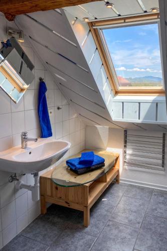 a bathroom with a sink and a skylight at Studio Arn's Dachstudio by Interhome in Wangenried  