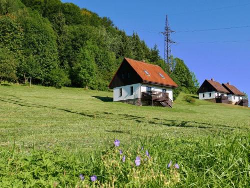 two houses in a field with flowers in the grass at Holiday Home Stárkov by Interhome in Stárkov