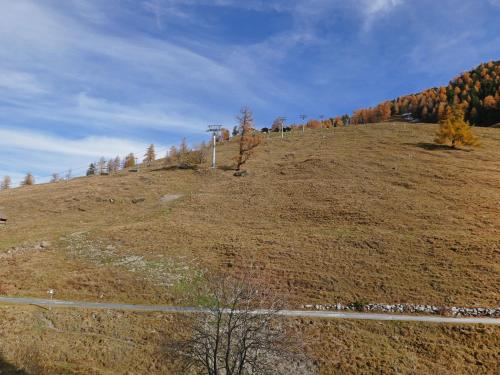 a grassy hill with trees on top of it at Apartment Rosablanche D 204 A by Interhome in Siviez