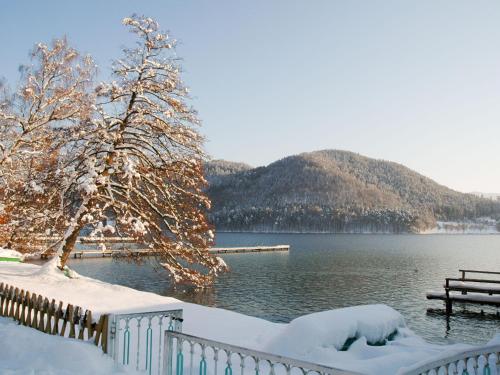 Apartment Forelle by Interhome