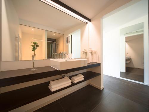 baño con lavabo y espejo grande en Studio Oberhofer-3 by Interhome, en Telfes im Stubai