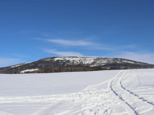 Holiday Home Holiday Hill 65 by Interhome v zimě