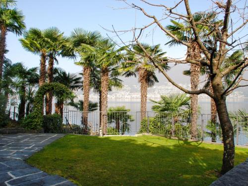 a park with palm trees and the water at Apartment App- Vira Lago 500 Ost - EG by Interhome in Vira