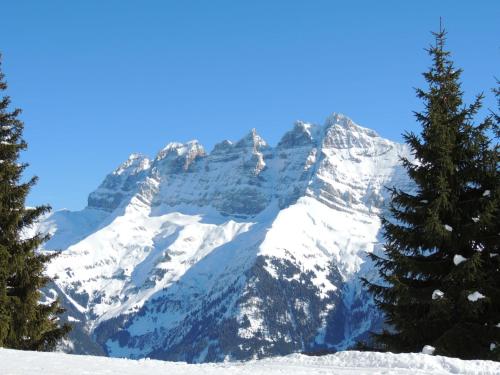 a snow covered mountain with trees in front of it at Chalet Godfrey by Interhome in Les Crosets