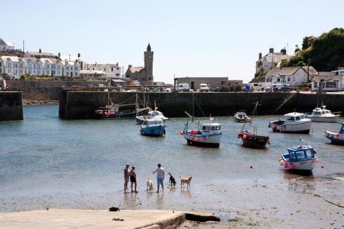 a group of people and dogs standing in the water with boats at Harbour Inn in Porthleven