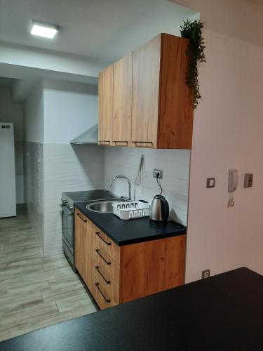 a kitchen with a sink and a counter top at Apartman 57 in Vračar (historical)