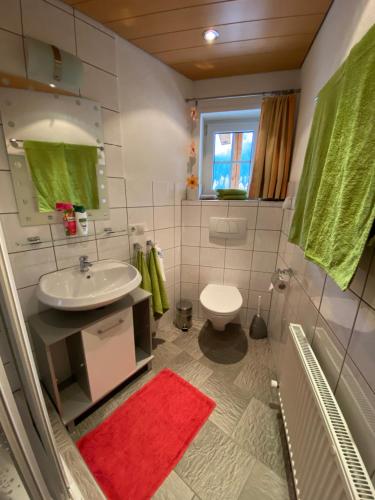 a bathroom with a sink and a toilet at Haus Evelin in Sankt Leonhard im Pitztal