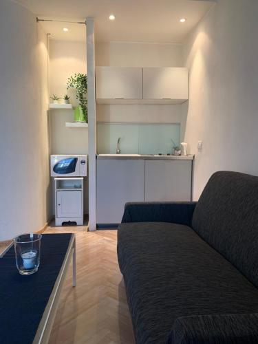 ローマにあるSpain Apartmentsのリビングルーム(ソファ付)、キッチン