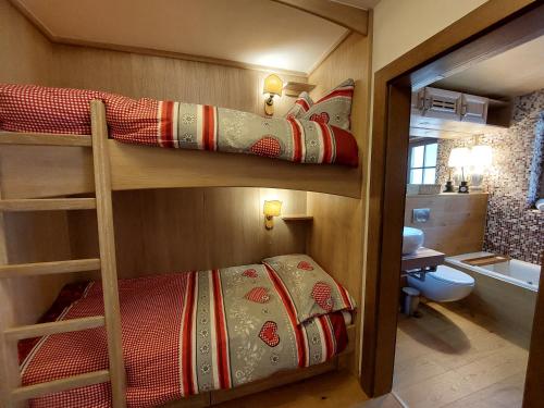 two bunk beds in a small room with a bathroom at TEDDYBÄR ski-to-door Studio in Bad Kleinkirchheim