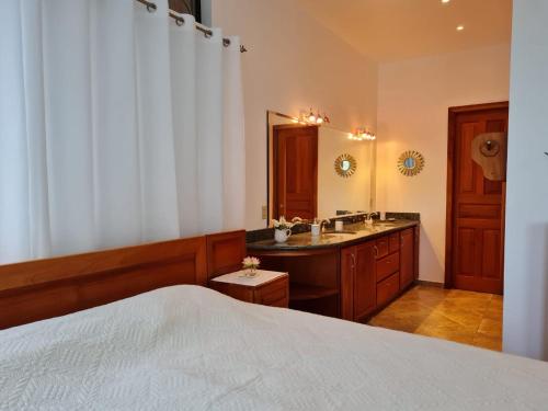 a bedroom with a bed and a sink and a mirror at Villa Corazón - private beach at Lake Arenal in Nuevo Arenal