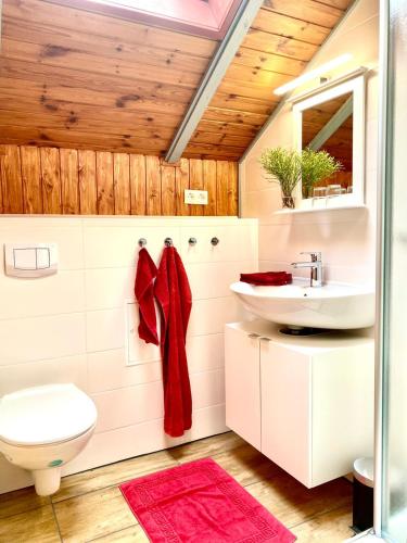 a bathroom with a sink and a toilet at Ferienhäuser Pannier I und oder II in Gartow