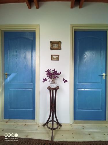 two blue doors and a table with a vase of flowers at Tőckés Vendégház in Pankasz