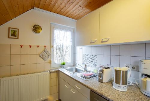 a small kitchen with a sink and a window at Haus Schulze in Braunlage