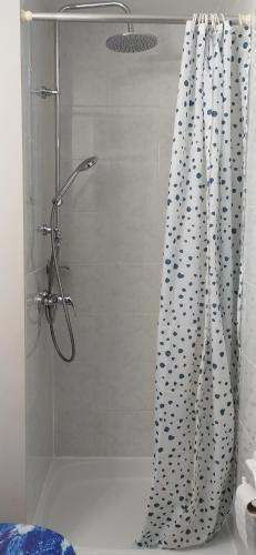 y baño con ducha y cortina de ducha. en Beau petit Appartement, en La Calamine