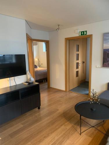 a living room with a flat screen tv and a couch at Mengi Apartments in Reykjavík