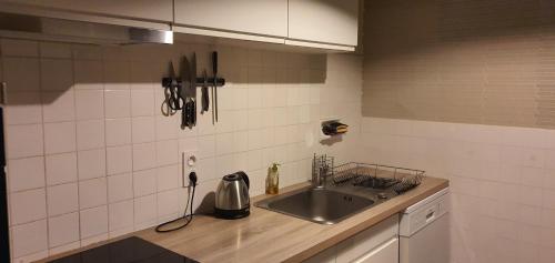 cocina con fregadero y encimera en Magnifique appartement de 56m² avec balcon, en Pau