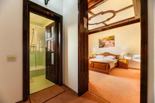 a bathroom with a shower and a bed in a room at Regina in Predeal