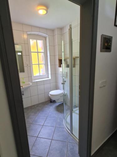 ein Bad mit einem WC, einer Dusche und einem Waschbecken in der Unterkunft Ferienwohnung im Wald, für Naturfreunde in Clausthal-Zellerfeld