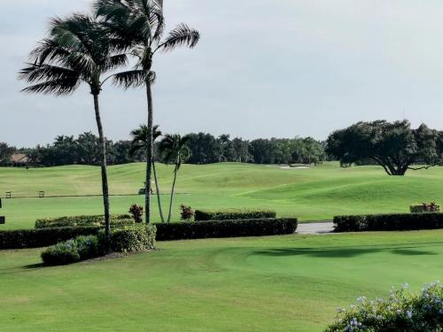 a golf course with palm trees and a green at GreenLinks Luxury Villa at Lely Resort Golf - 3 Bedrooms in Naples