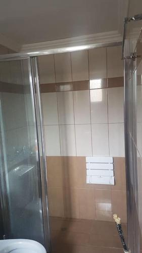 a bathroom with a shower and a toilet at Rena's house in Pachia Ammos