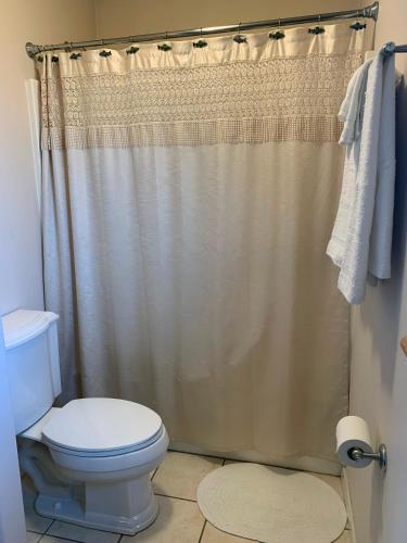 a bathroom with a shower curtain and a toilet at The Adamina in Fairbanks