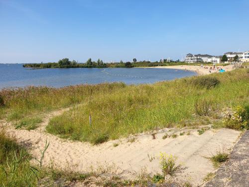 a beach with a path leading to the water at The Walnut Tree in Hellevoetsluis