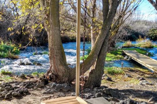 a swing hanging from a tree next to a river at Billingsley Creek in Hagerman