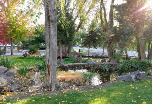 a pond in a park with trees and rocks at Billingsley Creek in Hagerman