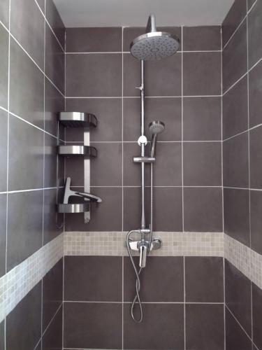 een douche met een douchekop in de badkamer bij LES GITES DU LAUZON in Montségur-sur-Lauzon