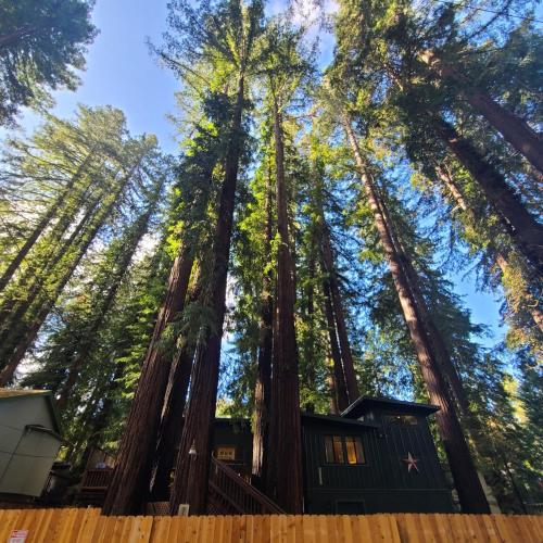 a tree house in the middle of a forest at Dhyana Redwoods Fire Table Nearby River Access Ping Pong & Arcade Games in Guerneville