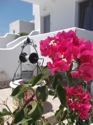 a bunch of pink flowers sitting on a chair at Anemos Studios in Adamas