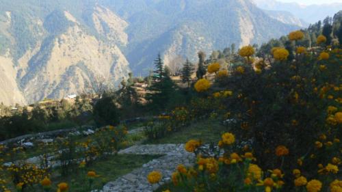 Raithal Retreat – Photos 4