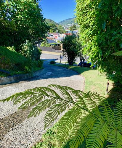 a fern plant sitting on the side of a road at Koru Havenz in Picton