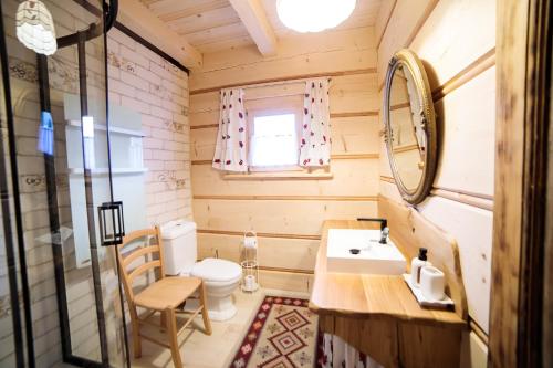 a bathroom with a toilet and a sink and a mirror at Domek "Góraleczka " koło Karpacza - z widokiem na góry in Sosnówka