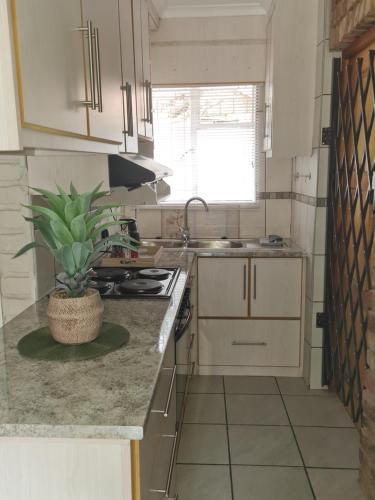 Una cocina o zona de cocina en The Honeycomb