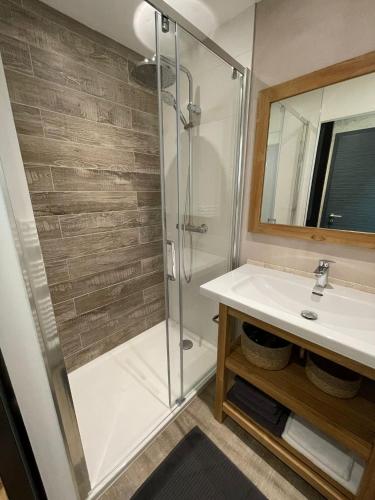 a bathroom with a shower and a sink at Maison d'hotes L'atelier du Charmois in Vandoeuvre-lès-Nancy