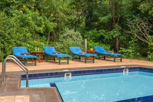 Piscina en o cerca de Nature Lanka Ayurveda Resort - All Meals and Ayurveda Treatments with Yoga