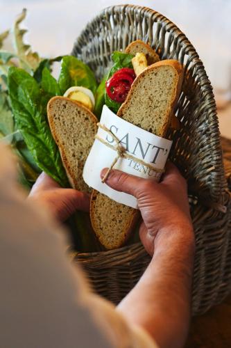 a person holding a basket of sandwiches and a salad at Relais Sant'Elena in Bibbona