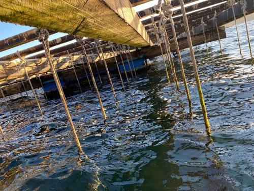 die Nähe eines Bootes im Wasser in der Unterkunft Apartamento Entrebateas in Aldán
