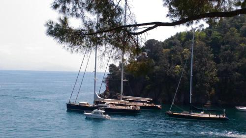 Φυσικό τοπίο κοντά σε αυτό το διαμέρισμα