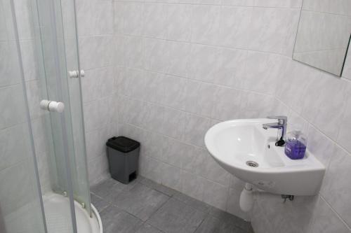 ein weißes Bad mit einem Waschbecken und einer Dusche in der Unterkunft Galerka Líšný in Líšný