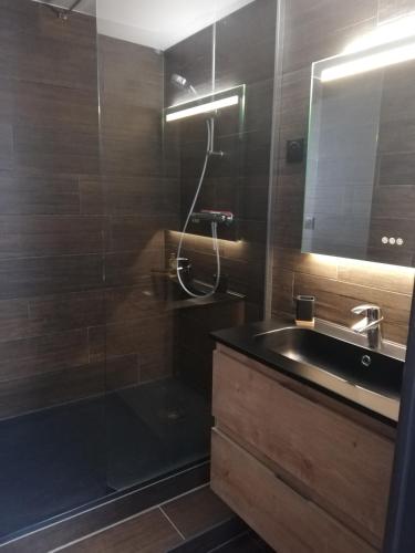 une salle de bain avec une douche, un lavabo et un miroir dans l'établissement Appartement au cœur de LUZ, à Luz-Saint-Sauveur