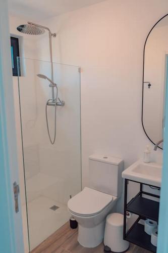 a bathroom with a shower and a toilet and a sink at Casa do Losango - the Douro river as a border in Coleja